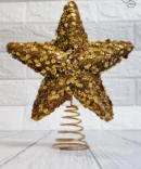 Tree top Christmas Star